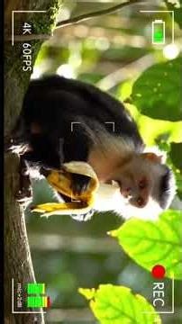 immersive interactive woman #exercise #home #cars#women