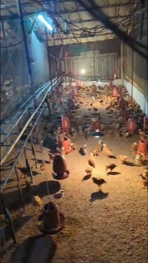 new gadgets smart appliances kitchen utensils/home cleaning/beauty inventions #shorts