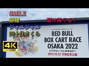 【4K】RED BULL BOX CART RACE OSAKA 2022 万博記念公園 2022年10月22日 手作りカートのレースで世界で138回以上開催され、東京で4回実施。関西は今回が初！