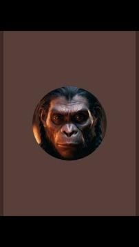 HOMINIDS ORIGIN HUB is live!