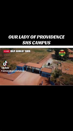 Celebrating the Harmony of School Bands