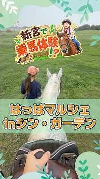 [9/27] Horseback Riding in Shingu!? Happa Marche is Happening! 🐴🌿
