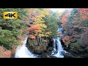奥日光の紅葉 : 小田代ヶ原に幻の湖 Nikko Autumn, Phantom Lake in Odashirogahara : 日光国立公園 Nikko National Park : 4K