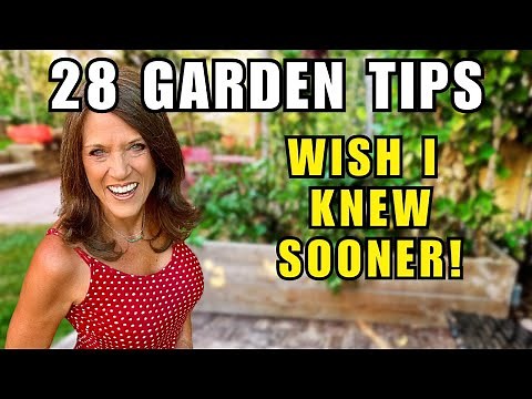 28 Garden Tips I Wish I’d Known Sooner | For New & Seasoned Gardeners