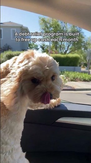 3 things you can actually control this month #personalfinance #debtrelief