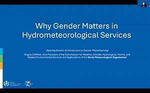 Workshop: Gender mainstreaming across hydrometeorological services - 18 November (Opening Session to Session 3)