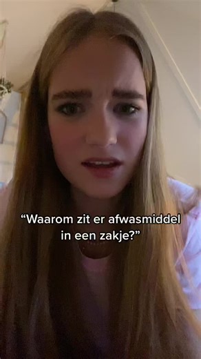 Understanding Dutch Language in Everyday Situations