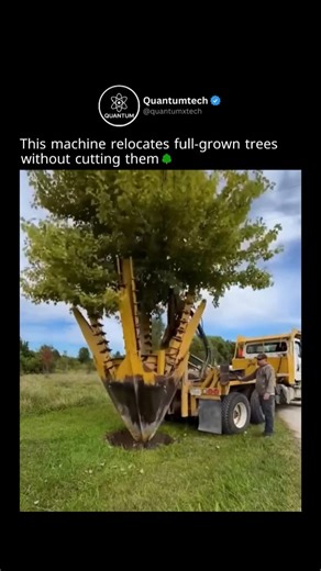 QuantumTech on Instagram: "🌳 This Machine Relocates a Full-Grown Tree in Minutes! 🤖💪 No cutting, just smart engineering. 🔥 This incredible tree transplanting machine can lift, move, and replant an entire tree — roots and all — within minutes. Using powerful hydraulic spades, it preserves the root system so the tree survives in its new home. 🌱 Proof that the best engineering works with nature, not against it. 🌍 love engineering & science? follow @quantumxtech 🌟 #plants #machine #engineerin