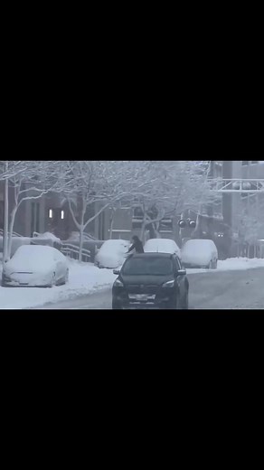 And this was JUST Thursdays Freezing Rain (my ice dagger made an appearance earlier in the week if you need to see that again 🤣) I know it’s been ROUGH. I hope all of us at FOX13 Memphis have helped bring you comfort through information & knowledge throughout this awful Wx ❄️-Chelsea | Meteorologist Chelsea Chandler