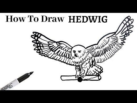 How To Draw HEDWIG Easy! | Step-by-step Tutorial On Drawing The Snowy Owl From HARRY POTTER