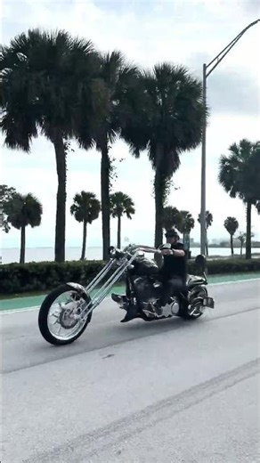 2005 Bourget Fat daddy/ python 330- on Sale - Highway riding