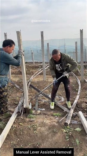 Waw... A smart trick to pull out heavy concrete fence posts from the ground without machines.