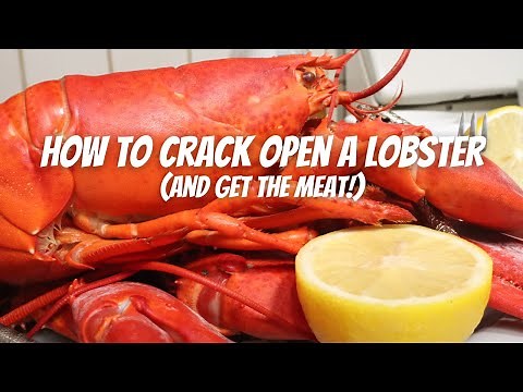 How To Crack Open a Lobster (and get the meat), Part 1