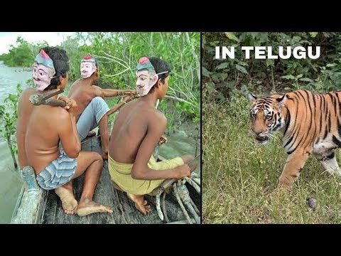 Facts | science | telugu