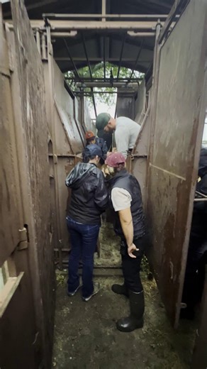 12K views · 288 reactions | How do you check up on free roaming...