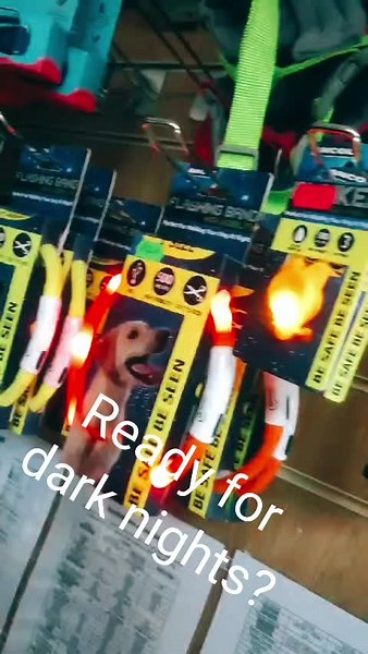 Winter ready? ✨️🐕🚨 #flashing #ledlight #ledcollar #dogs #nighttime #glow