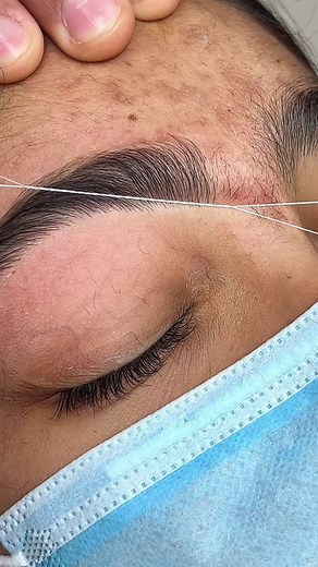 browsbypri on TikTok