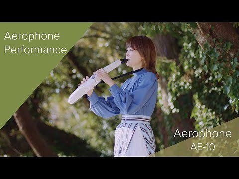 Roland Aerophone AE-10 Performance
