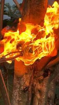 மக்கோட்டியால் வந்த வினை😨😨 #anshikamobile #share #frieds #fun #fire