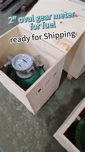 Ready for shipping -2 inch mechanical oval gear flow meter for fuel