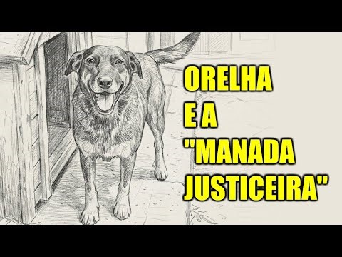 Orelha e a ''manada justiceira''