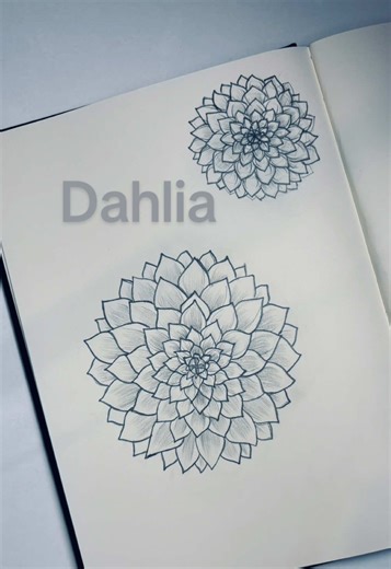 Easy Dahlia Flower Drawing Tutorial