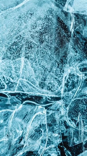 34 reactions | Animal Quiz Part 12 #quiz #animal #generalknowledge | Trivia QuizQuestions | Facebook