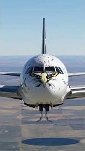 An eagle soaring through the sky#aviation #airplane #airbusa320 #flight