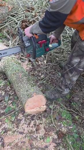 Chainsaw Sound Showcase: Husqvarna and Stihl Options