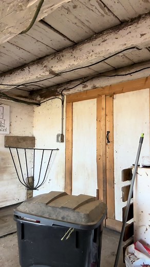 Remembering Brad: A Tribute to Our Ankle Biting Friend