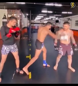 246K views · 1.2K reactions | Belly Punching Challenge and Worst Boxing Coach ❓❓ | SFB | Facebook