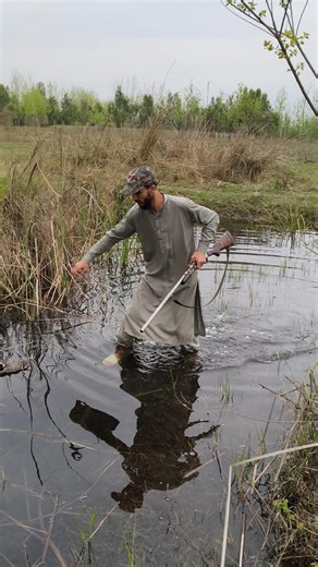 Duck Hunting in the Wetlands