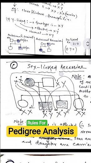 Pedigree Analysis Mendelian Genetics Class 12 Biology