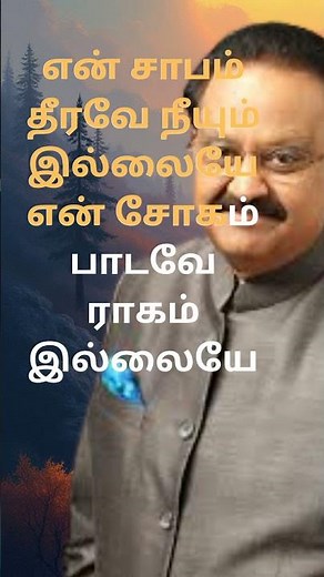 Naan Paadum Mouna spb sad song version old love sad songs 90's song #ilayaraaja #spb #vairamuthu