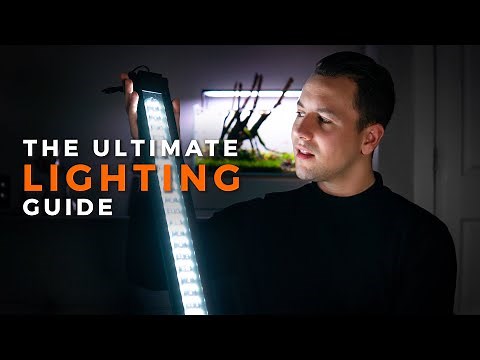AQUARIUM LIGHTING BEGINNER GUIDE | LED Light Specs Explained