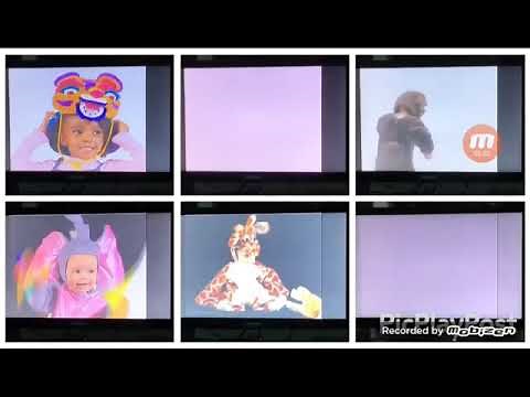 6 world animals at once sped up