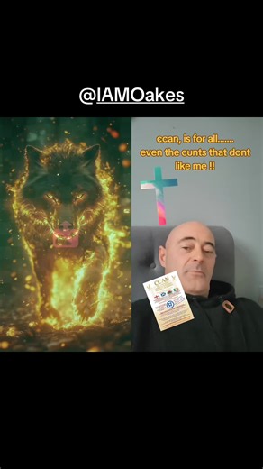 #duet with @I AM Oakes @Janis Shaw @Lady-_-Lynch87 @WeeDoyin @Charlie-Soul @scottishviking333 @door2168 @GenX77 @“I AM” Senno #CCAN🛡️ @eiRe sovereign's/ Irish Rebels