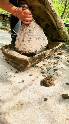 Bee Relocation Hack: Quick & Clever Way to Move a Hive!