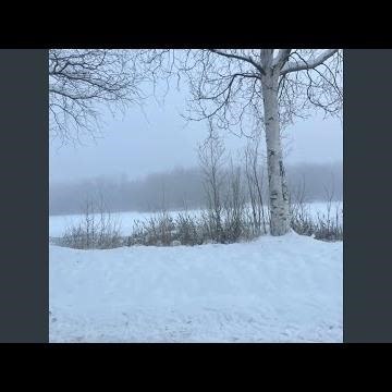 Every Song I Write Is Just Me Not Texting You