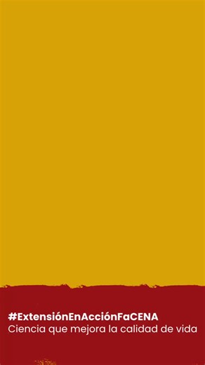 El Programa UNNE Salud Exactas es una iniciativa de la Universidad Nacional del Nordeste (UNNE) 🎓 que, a través de la Facultad de Ciencias Exactas y Naturales (FaCENA) y su área de Extensión, lanzó la Convocatoria 2025 📣 para proyectos orientados a mejorar la calidad de vida y promover un futuro sostenible 🌍✨. La propuesta convoca a docentes, graduados, estudiantes y a la comunidad 🤝 para abordar temáticas de salud integral 🩺 y desarrollo sustentable ♻️ en la región. Con un total de 23 proy