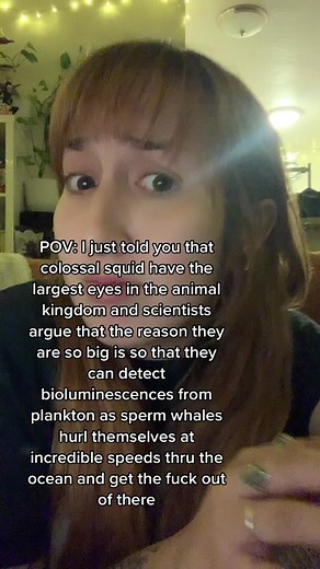 Drama Among Scientists: The Mystery of Giant Squid Eyes Unveiled