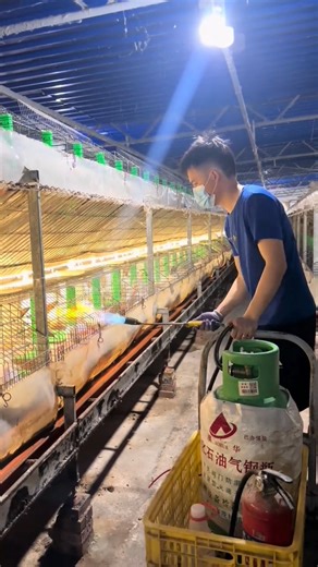 Cage on Fire?! The Farm Cleaning Method You’ve Never Seen 👀