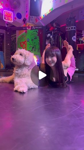 이린 LEE LYNイ・リン | おはよう💗 morning💗 with ガホ店長🐩✨@gaho3dog 캔디짐의 가호 점장🐩🐾✨ #martialarts #standardpoodle #tokyo #japan #candygym #六本木 #gravureidol #gravure... | Instagram