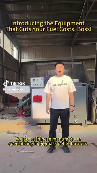 Biomass Pellet Burners from Chinese Manufacturer