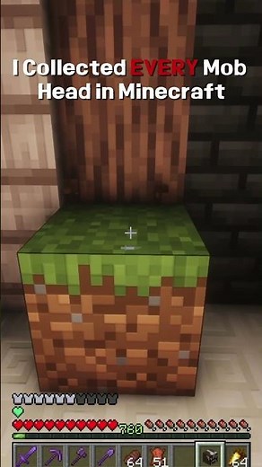 I Collected EVERY Mob Head in Minecraft