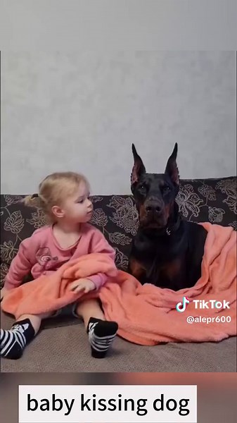 Heartwarming Baby and Dog Kissing Moments