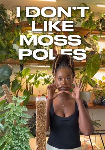 Why I Don't Like Moss Poles for Plants