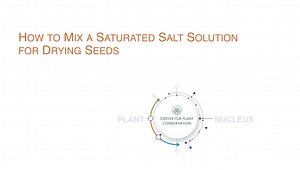 How to Prepare a Saturated Salt Solution to Dry Seeds - Center for Plant Conservation