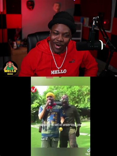 Old MacDonald Had A Farm REMIX😂