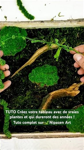 Créer un tableau avec de vraies plantes 🍃qui dureront des années !